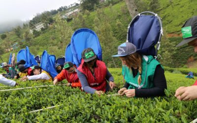 Nuwara Eliya