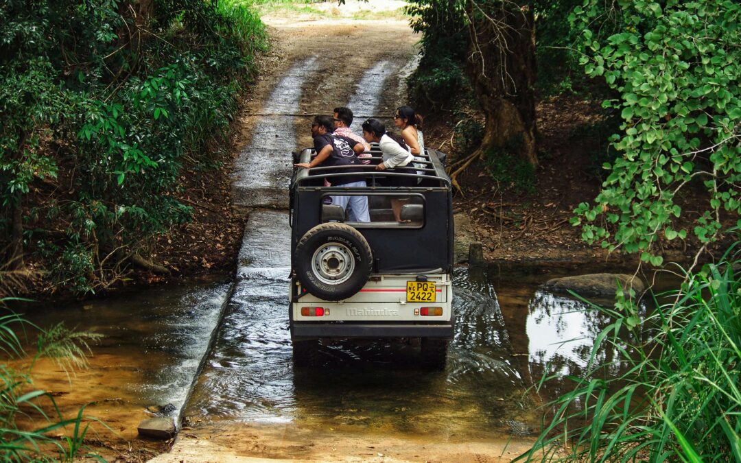 Yala National Park