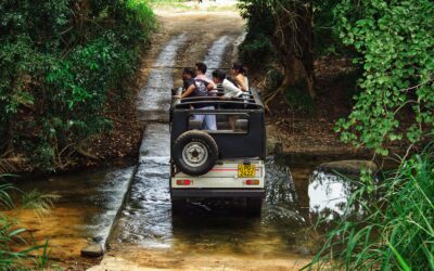 Yala National Park